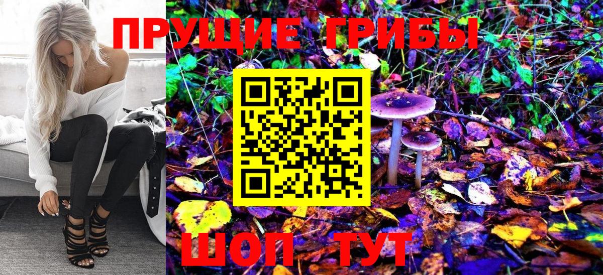 Галлюциногенные грибы Magic Shrooms Шахты