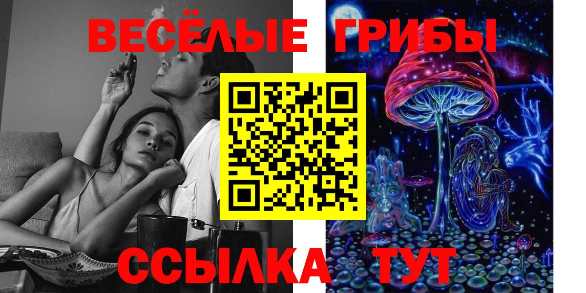 Псилоцибиновые грибы Psilocybe  Вход с VPN  Псилоцибиновые грибы ЛСД  Шахты 